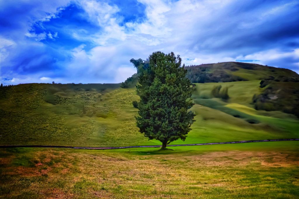 Green season, open countryside